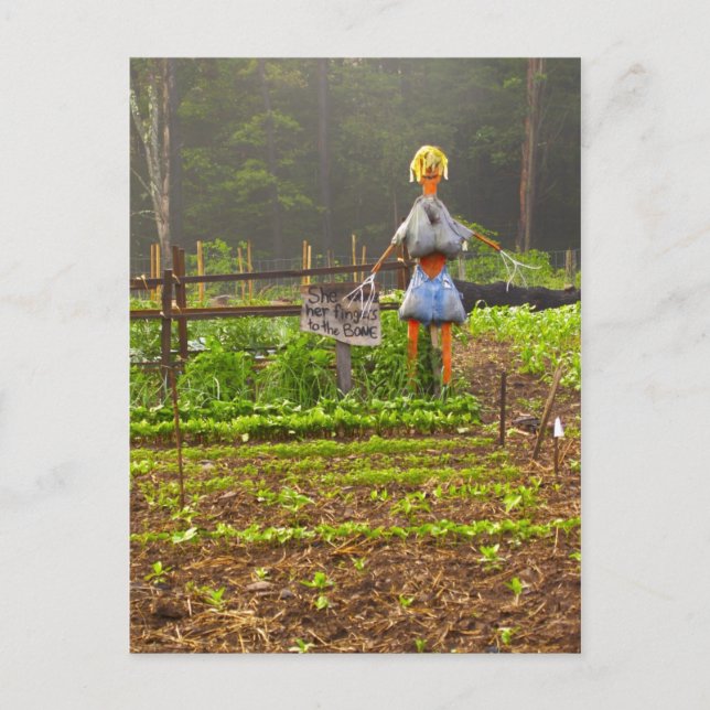 Pick Your Own Melons Postcard (Front)