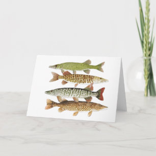 Pickerel,Muskies & Pike Card