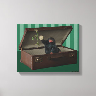 Pickett & Teddy in Briefcase Canvas Print