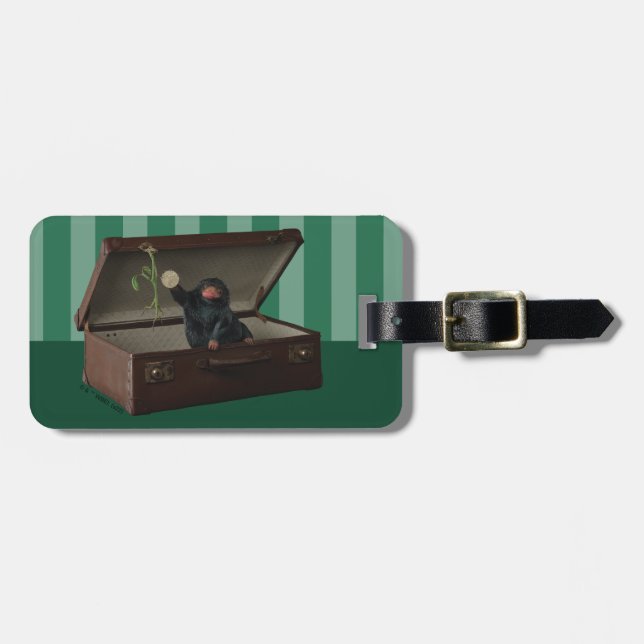 Pickett & Teddy in Briefcase Luggage Tag (Front Horizontal)