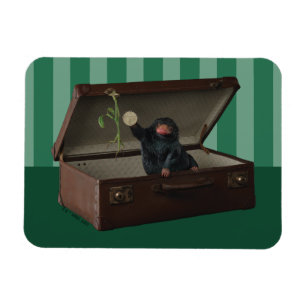 Pickett & Teddy in Briefcase Magnet