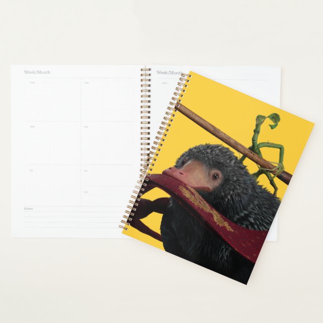 Pickett & Teddy With Wand and Tie Planner (Display)