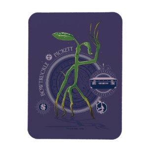 PICKETT™ The BOWTRUCKLE™ Graphic Magnet