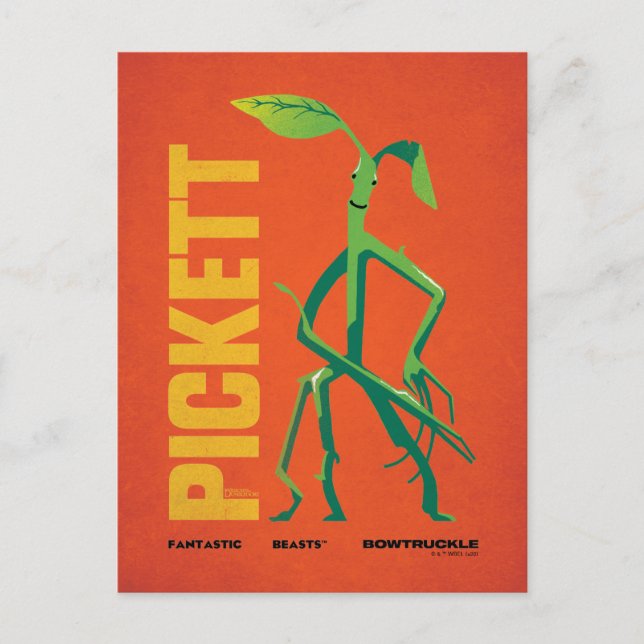 Pickett Vintage Graphic Postcard (Front)