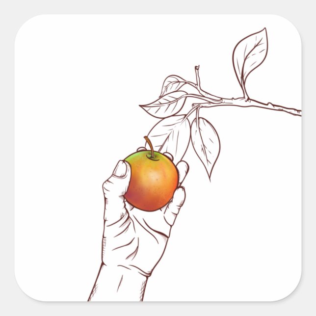 Picking an apple square sticker (Front)