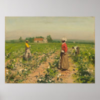 Picking Cotton - William G. Gaul Fine Art Poster