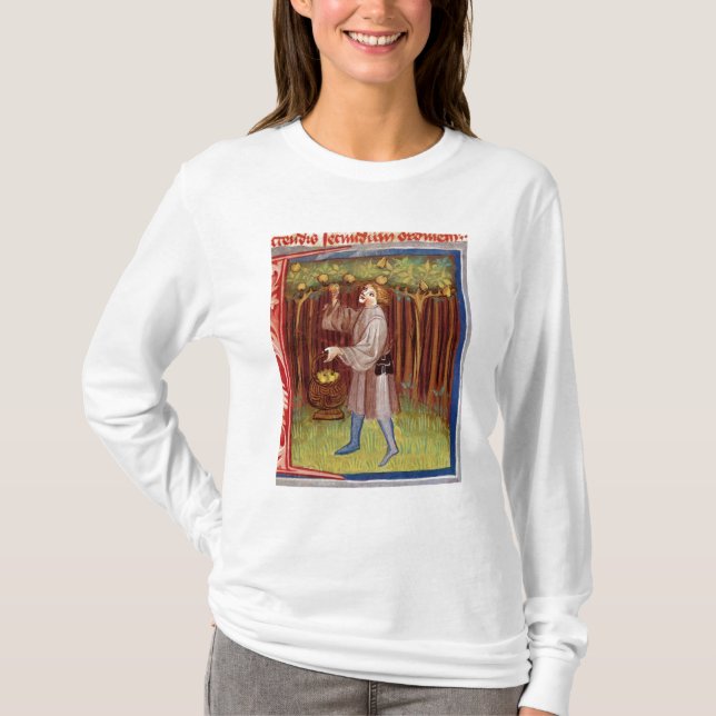 Picking fruit T-Shirt (Front)