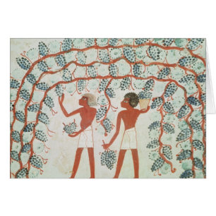 Picking grapes, from the Tomb of Nakht