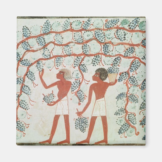 Picking grapes, from the Tomb of Nakht Magnet (Front)