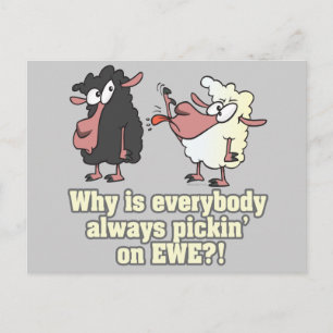 picking on EWE black sheep humour Postcard