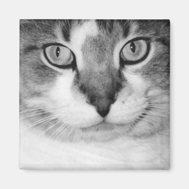 Pickle Magnet (Front)