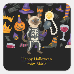 Pickleball halloween party for cat lovers  square sticker