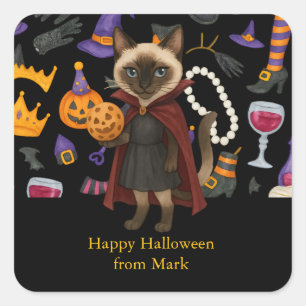 Pickleball halloween party for cat lovers square sticker