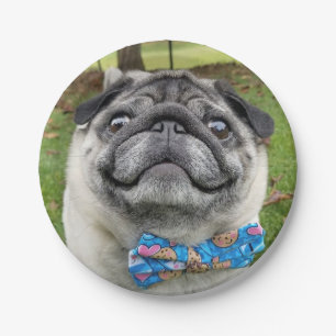Pickles Paper Plate