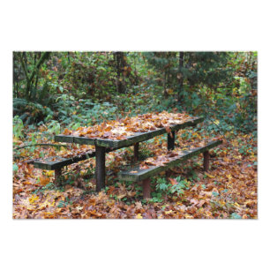 Picnic Bench 19" x 13" Photo Enlargement Print