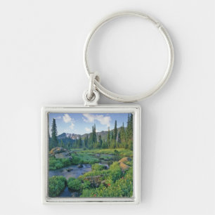 Picnic Creek in the Jewel Basin of the Swan Key Ring