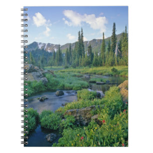 Picnic Creek in the Jewel Basin of the Swan Spiral Notebook