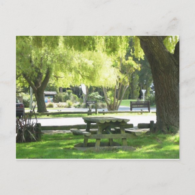 Picnic Ground Postcard (Front)