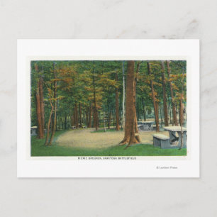 Picnic Grounds View of Saratoga Battlefield Postcard