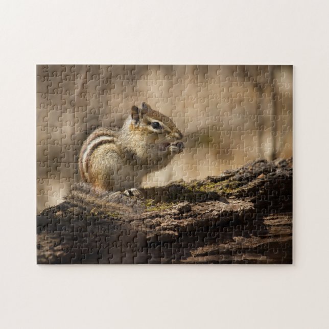 Picnic in the Woods puzzle (Horizontal)