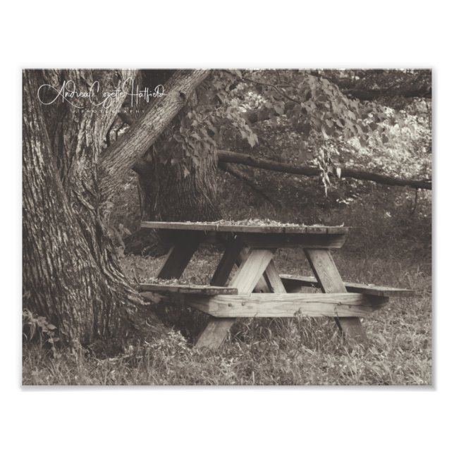 Picnic Photo Print (Front)