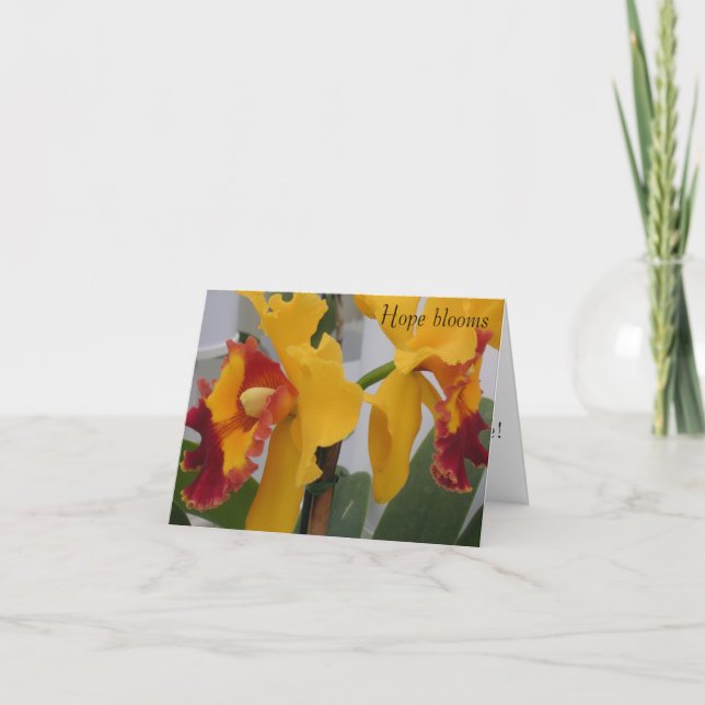 PICT0396, Hope blooms Thank You Card (Front)