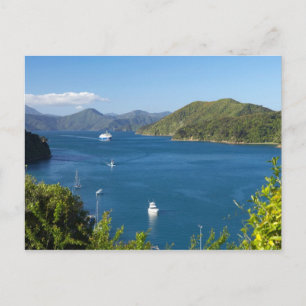 Picton Harbour, Marlborough Sounds, South Postcard