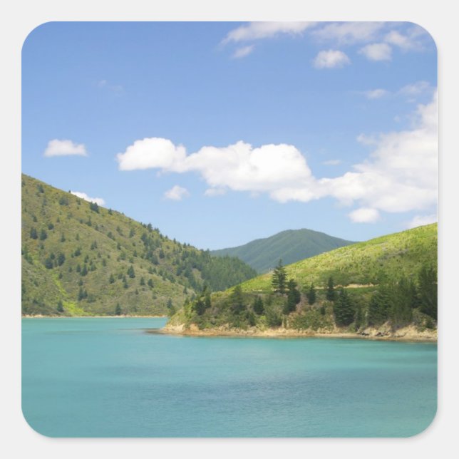 Picton, New Zealand. The gateway between North Square Sticker (Front)