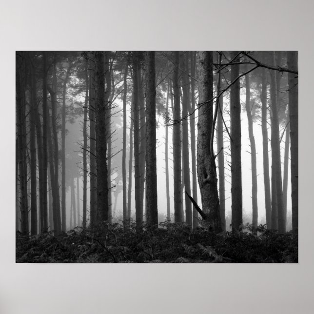 PICTURE 26 POSTER (Front)