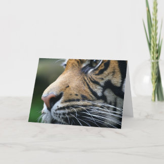 Picture Greeting Card