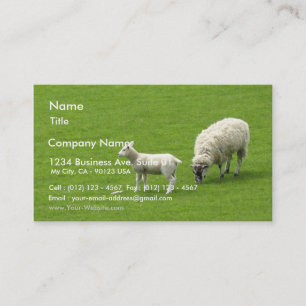 Picture Of A Baby Sheep With Her Mother Business Card