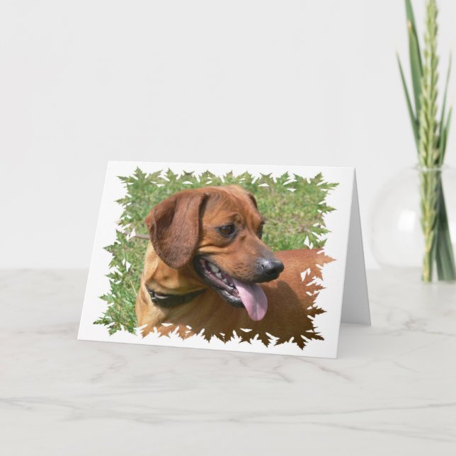 Picture of a Dachshund Dog Greeting Card (Front)