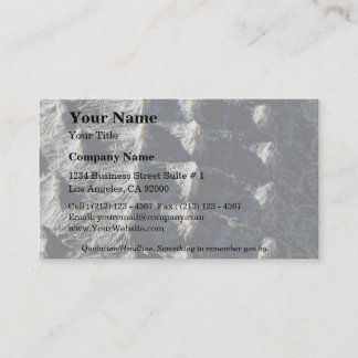 Picture of Aligator, detail Business Card