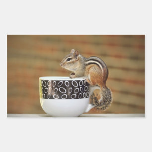 Picture of Chipmunk with Latte Coffee Cup Rectangular Sticker