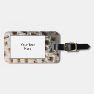 Picture of Coral. Luggage Tag