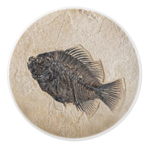Picture of Fish Fossil Sandstone Ceramic Knob