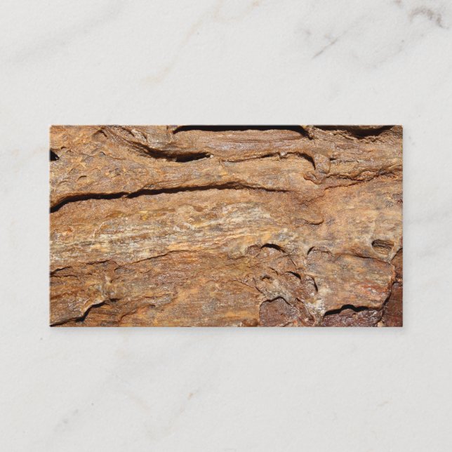 Picture of Fossilised Wood. Business Card (Front)