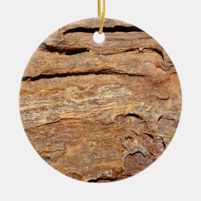 Picture of Fossilised Wood. Ceramic Tree Decoration (Front)