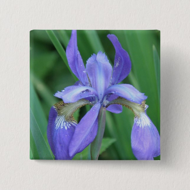 Picture of Iris Square Pin (Front)