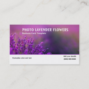 Picture of Lavender Flowers Business Card
