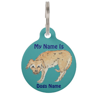 picture of scruffy mixed breed dog pet tag