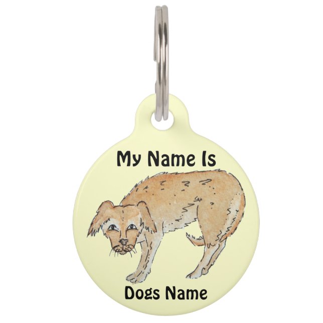 picture of scruffy mixed breed dog pet tag (Front)