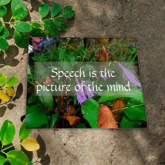 Picture of the mind wisdom greenery poster (Creator Uploaded)