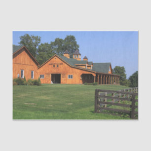 Picture Perfect Horse Stables on a Manicured Lawn Tissue Paper