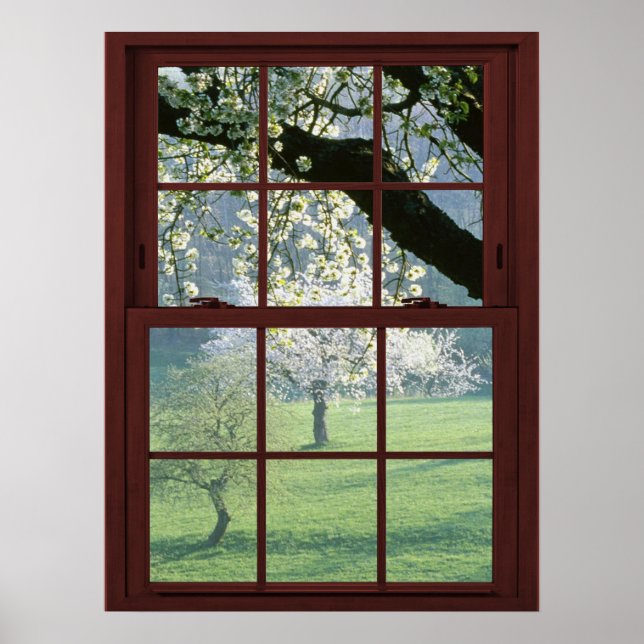 Picture Window Landscape - Cherry Blossoms Poster (Front)