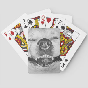 pictures of funny cute akita smiling dog  playing cards