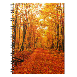 Picturesque Autumn Way Landscape Notebook