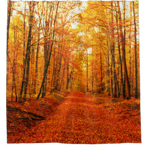 Picturesque Autumn Way Landscape Shower Curtain