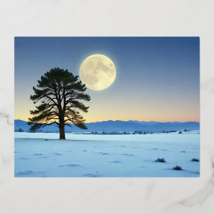 Picturesque Landscape Winter Moon Nature Tranquil  Foil Holiday Postcard