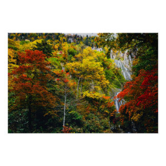 Picturesque View of Fall Hagoromo Falls Hokkaido   Poster